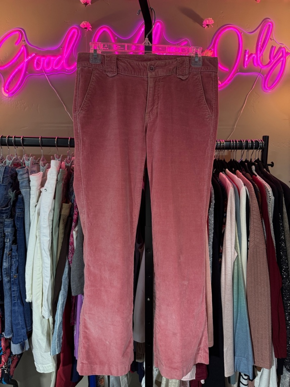 GAP Dusty Rose Velour Boot-Cut Pants 2R